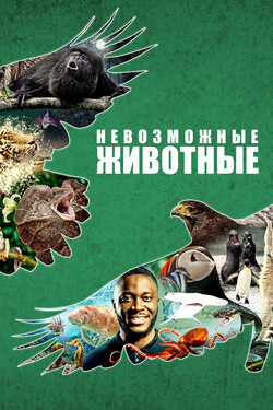 Невозможные животные - смотреть онлайн