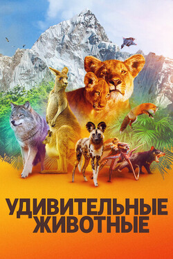 Удивительные животные - смотреть онлайн