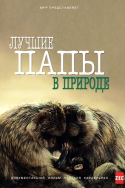 Лучшие папы в природе - смотреть онлайн