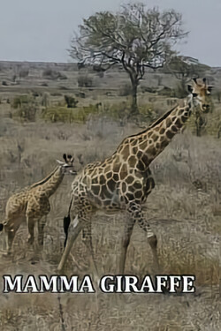 Мама-жираф - смотреть онлайн