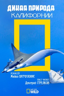 Дикая природа Калифорнии - смотреть онлайн