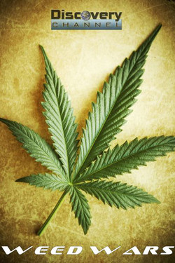 Марихуана в законе - смотреть онлайн