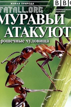 BBC. Живая природа  - смотреть онлайн