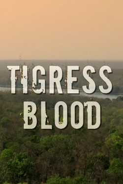 Банда тигриц - смотреть онлайн