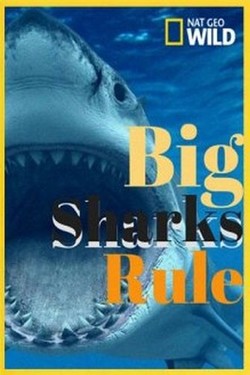 Nat Geo Wild: Царство больших акул - смотреть онлайн