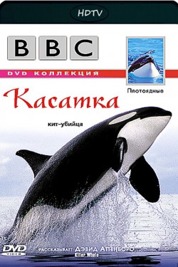 BBC: Плотоядные. Касатка - смотреть онлайн