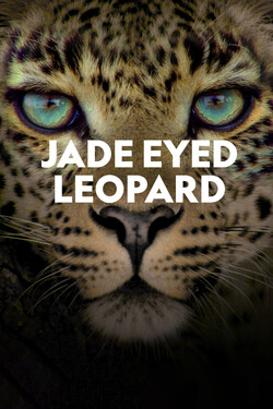 NG. Зеленоглазый леопард - смотреть онлайн