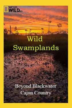 National Geographic. Дикие болота - смотреть онлайн