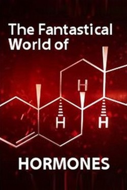 BBC. Таинственный мир гормонов - смотреть онлайн