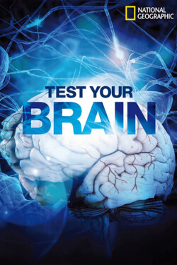 Испытайте свой мозг - смотреть онлайн