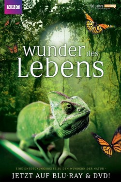 Чудеса жизни  - смотреть онлайн