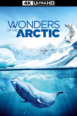 Чудеса Арктики - смотреть онлайн