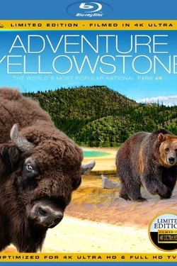 Приключения Йеллоустоун - смотреть онлайн