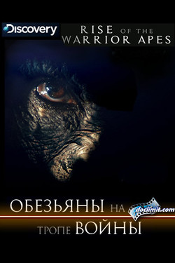 Обезьяны на тропе войны - смотреть онлайн