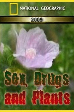 National Geographic. Поразительные растения - смотреть онлайн