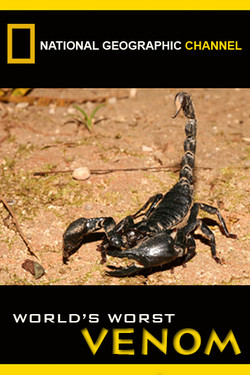 National Geographic. Самый сильный яд в мире - смотреть онлайн