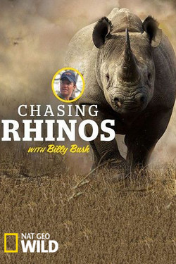 NGW: На защите носорогов - смотреть онлайн