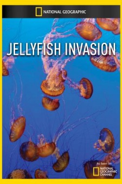 National Geographic. Медузы-монстры - смотреть онлайн