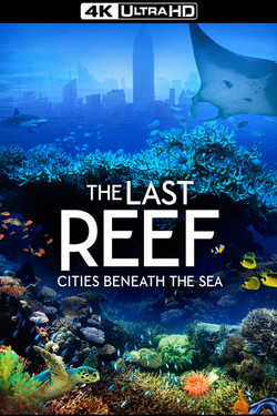Последний риф - смотреть онлайн
