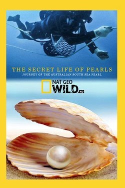 National Geographic. Секретная жизнь жемчужин - смотреть онлайн