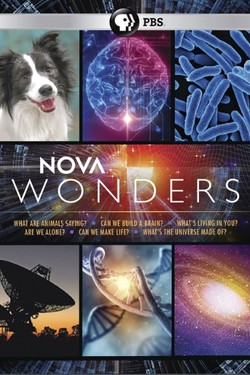 Можем ли мы создать искусственный интеллект? - смотреть онлайн