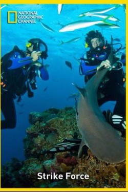 Nat Geo Wild: В опасных водах Австралии. Обед для акул - смотреть онлайн