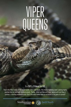 Королевы гадюк - смотреть онлайн