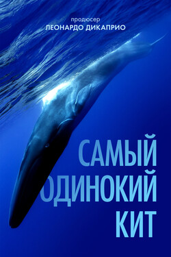 Самый одинокий кит - смотреть онлайн