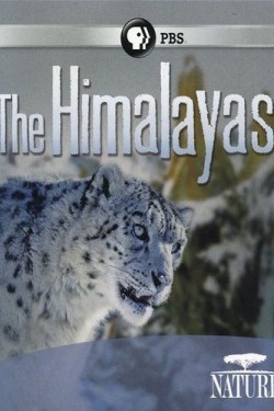 Гималаи - смотреть онлайн