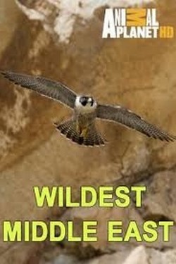 Природа Ближнего Востока - смотреть онлайн
