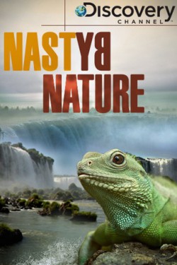 Discovery. Жизнь отвратительных животных - смотреть онлайн
