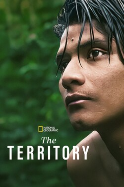 Территория - смотреть онлайн