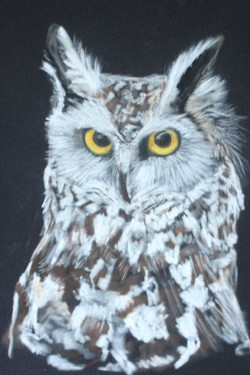 Чувства животных - смотреть онлайн