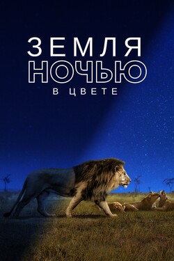 Земля ночью в цвете - смотреть онлайн