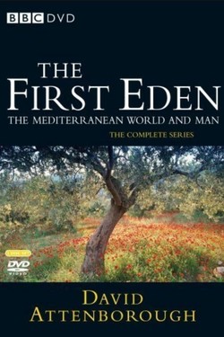 Первый Рай - смотреть онлайн