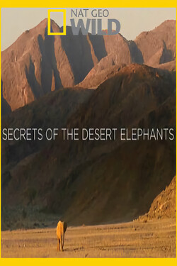 Nat Geo Wild: Хоаниб - секреты слонов пустыни - смотреть онлайн