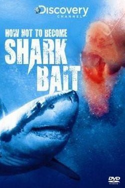 Discovery. Как не стать добычей акул - смотреть онлайн