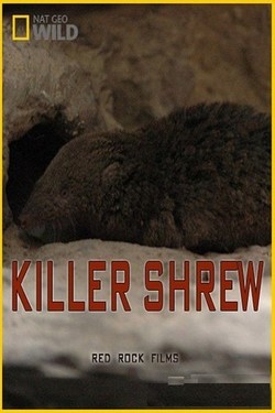 National Geographic. Землеройка-убийца - смотреть онлайн
