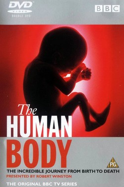 BBC: Тело человека - смотреть онлайн