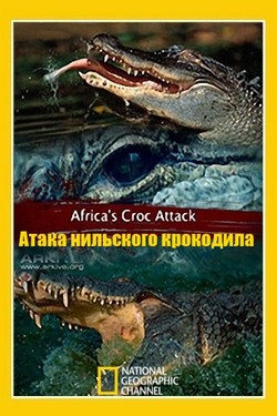 National Geographic. Атака нильского крокодила - смотреть онлайн