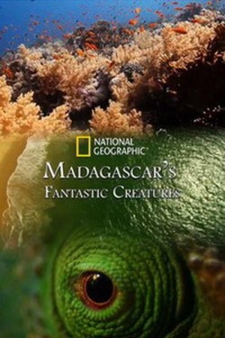 Nat Geo Wild: Фантастические существа Мадагаскара - смотреть онлайн