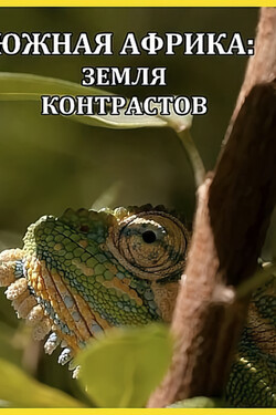 Nat Geo Wild: Южная Африка: Земля контрастов - смотреть онлайн