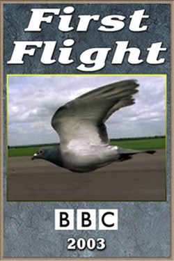 BBC. Первый полет - смотреть онлайн