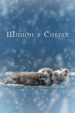 BBC. Шпион в снегах: Тайны снежных обитателей - смотреть онлайн