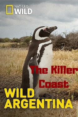 Nat Geo Wild: Дикая природа Аргентины - смотреть онлайн