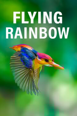 Летающая радуга - смотреть онлайн