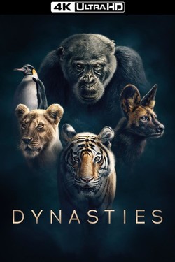 Династии - смотреть онлайн