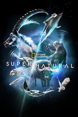 Сверх/Естественное - смотреть онлайн