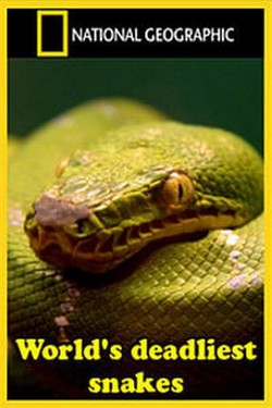 Nat Geo Wild: Самые опасные змеи в мире - смотреть онлайн