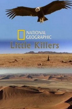 Nat Geo Wild: Маленькие убийцы - смотреть онлайн